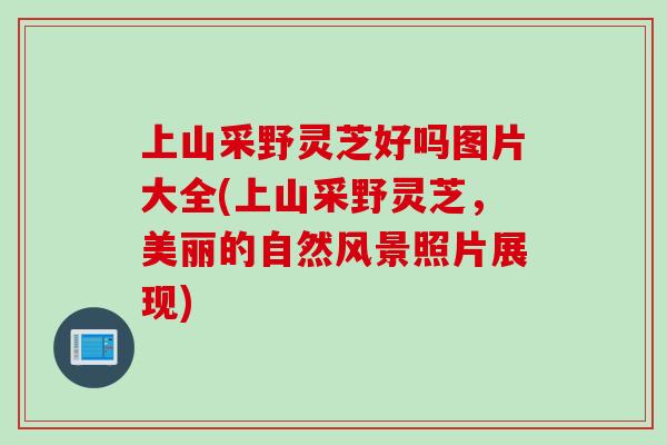 上山采野灵芝好吗图片大全(上山采野灵芝，美丽的自然风景照片展现)