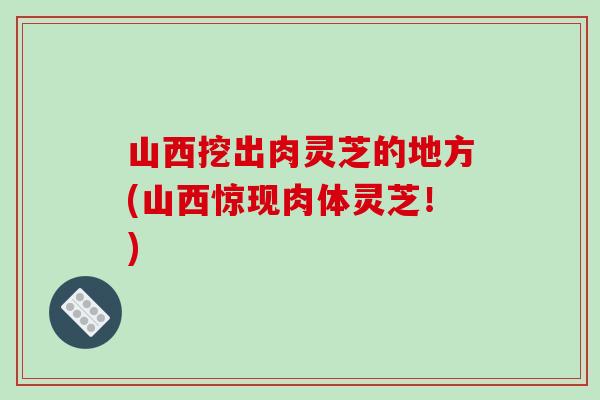 山西挖出肉灵芝的地方(山西惊现肉体灵芝！)
