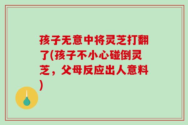 孩子无意中将灵芝打翻了(孩子不小心碰倒灵芝，父母反应出人意料)