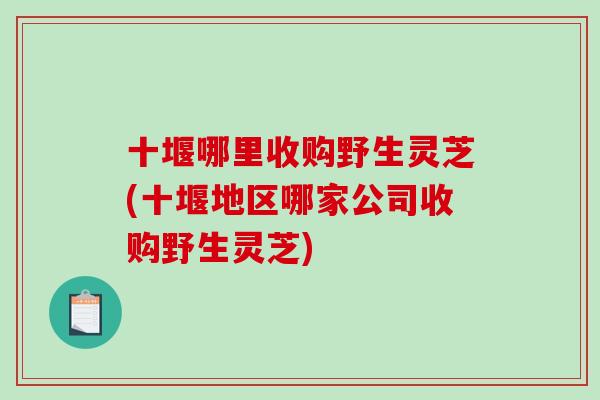 十堰哪里收购野生灵芝(十堰地区哪家公司收购野生灵芝)