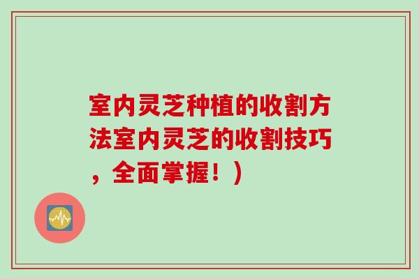 室内灵芝种植的收割方法室内灵芝的收割技巧，全面掌握！)