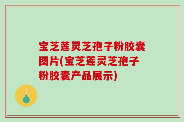 宝芝莲灵芝孢子粉胶囊图片(宝芝莲灵芝孢子粉胶囊产品展示)