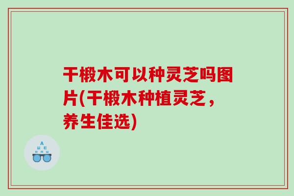 干椴木可以种灵芝吗图片(干椴木种植灵芝，养生佳选)