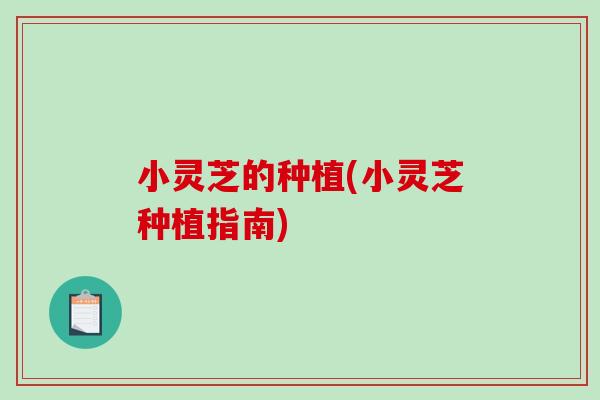 小灵芝的种植(小灵芝种植指南)