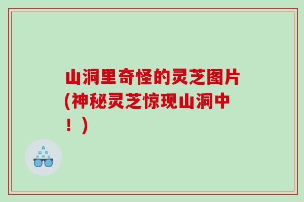 山洞里奇怪的灵芝图片(神秘灵芝惊现山洞中！)