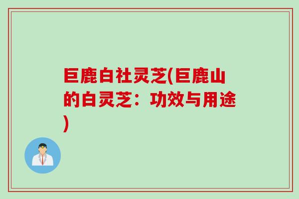 巨鹿白社灵芝(巨鹿山的白灵芝:功效与用途) 巨鹿白社灵芝(巨鹿山的白灵芝:功效与用途)