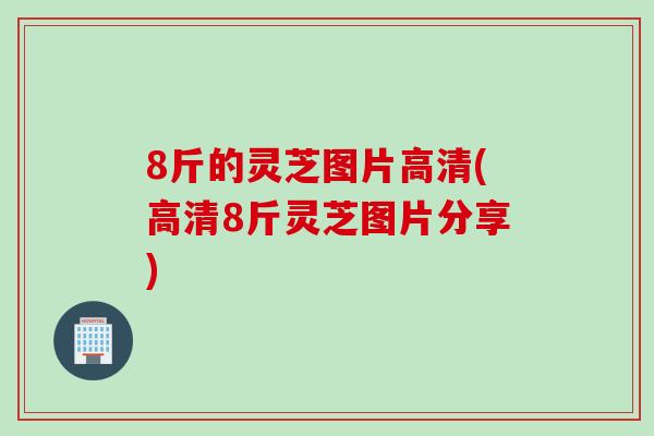 8斤的灵芝图片高清(高清8斤灵芝图片分享)