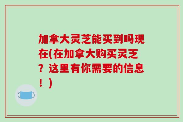 加拿大灵芝能买到吗现在(在加拿大购买灵芝？这里有你需要的信息！)