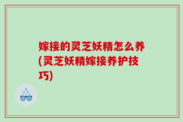 嫁接的灵芝妖精怎么养(灵芝妖精嫁接养护技巧)