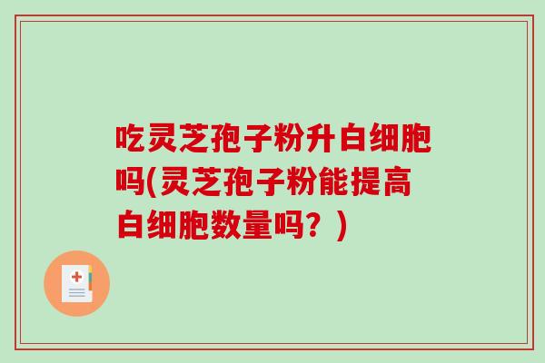 吃灵芝孢子粉升白细胞吗(灵芝孢子粉能提高白细胞数量吗？)