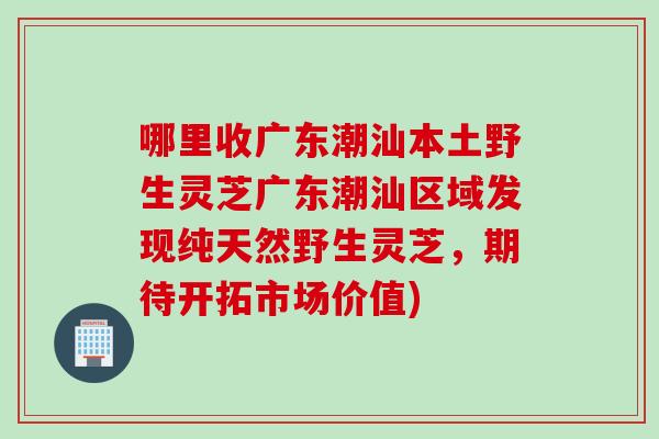 哪里收广东潮汕本土野生灵芝广东潮汕区域发现纯天然野生灵芝，期待开拓市场价值)