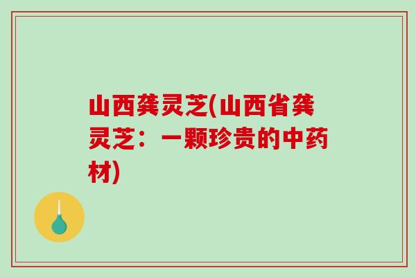 山西龚灵芝(山西省龚灵芝：一颗珍贵的中药材)