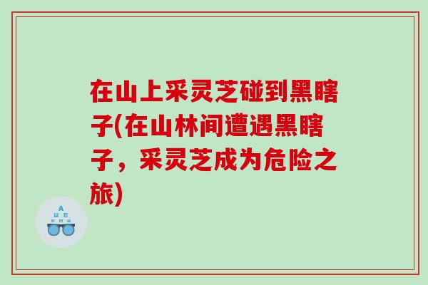 在山上采灵芝碰到黑瞎子(在山林间遭遇黑瞎子，采灵芝成为危险之旅)
