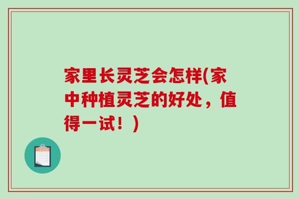 家里长灵芝会怎样(家中种植灵芝的好处，值得一试！)