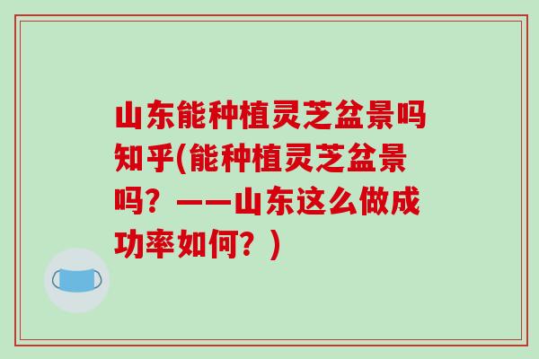 山东能种植灵芝盆景吗知乎(能种植灵芝盆景吗?——山东这么做成功率如何?) 山东能种植灵芝盆景吗知乎(能种植灵芝盆景吗?——山东这么做成功率如何?)