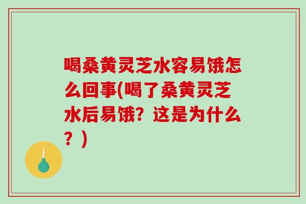 喝桑黄灵芝水容易饿怎么回事(喝了桑黄灵芝水后易饿？这是为什么？)