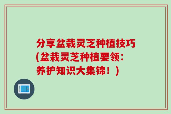 分享盆栽灵芝种植技巧(盆栽灵芝种植要领:养护知识大集锦!) 分享盆栽灵芝种植技巧(盆栽灵芝种植要领:养护知识大集锦!)