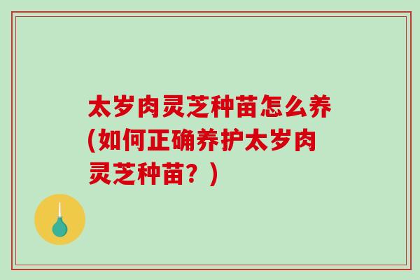 太岁肉灵芝种苗怎么养(如何正确养护太岁肉灵芝种苗？)