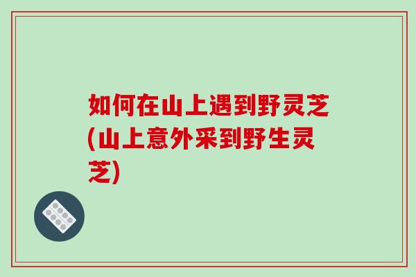 如何在山上遇到野灵芝(山上意外采到野生灵芝)