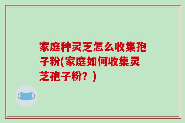 家庭种灵芝怎么收集孢子粉(家庭如何收集灵芝孢子粉？)