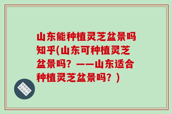 山东能种植灵芝盆景吗知乎(山东可种植灵芝盆景吗？——山东适合种植灵芝盆景吗？)