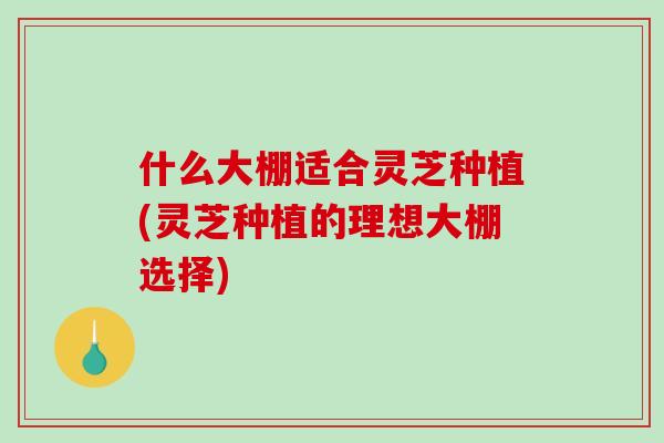 什么大棚适合灵芝种植(灵芝种植的理想大棚选择) 什么大棚适合灵芝种植(灵芝种植的理想大棚选择)