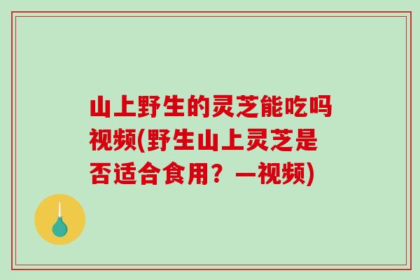 山上野生的灵芝能吃吗视频(野生山上灵芝是否适合食用？—视频)
