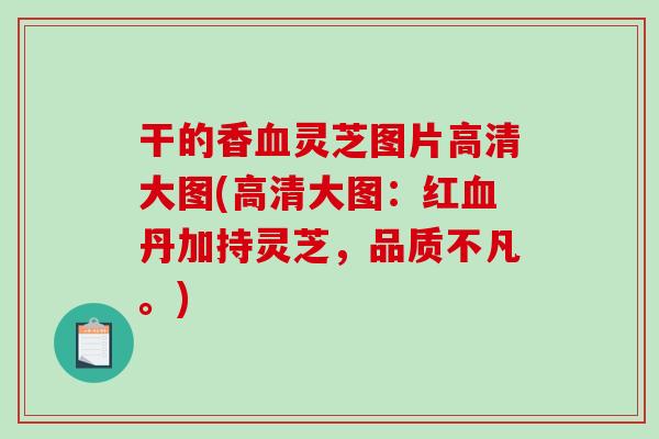 干的香血灵芝图片高清大图(高清大图：红血丹加持灵芝，品质不凡。)