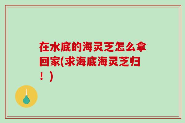 在水底的海灵芝怎么拿回家(求海底海灵芝归！)