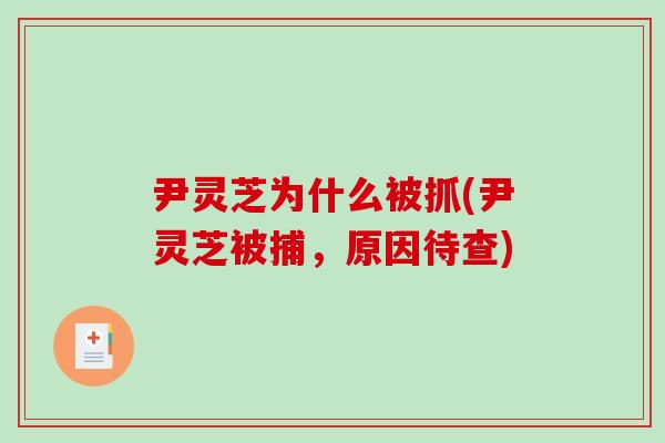 尹灵芝为什么被抓(尹灵芝被捕，原因待查)
