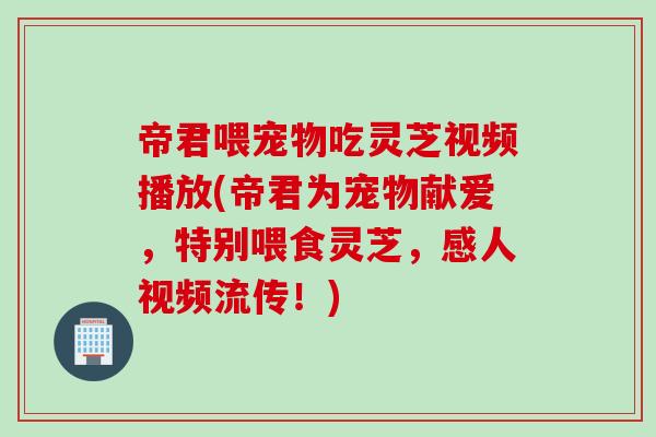 帝君喂宠物吃灵芝视频播放(帝君为宠物献爱，特别喂食灵芝，感人视频流传！)