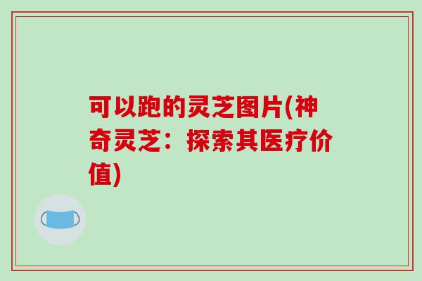 可以跑的灵芝图片(神奇灵芝：探索其医疗价值)