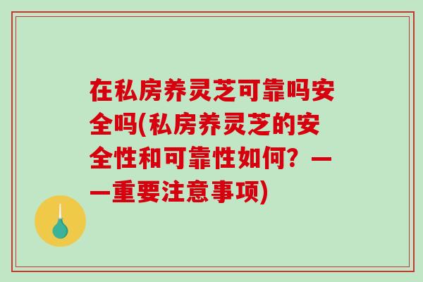 在私房养灵芝可靠吗安全吗(私房养灵芝的安全性和可靠性如何？——重要注意事项)