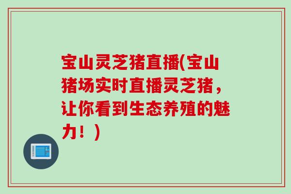 宝山灵芝猪直播(宝山猪场实时直播灵芝猪，让你看到生态养殖的魅力！)