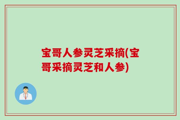 宝哥人参灵芝采摘(宝哥采摘灵芝和人参)