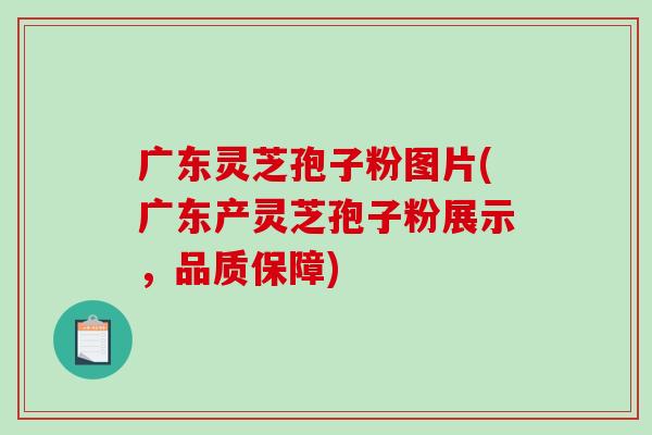 广东灵芝孢子粉图片(广东产灵芝孢子粉展示，品质保障)