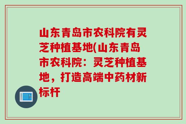 山东青岛市农科院有灵芝种植基地(山东青岛市农科院：灵芝种植基地，打造高端中药材新标杆