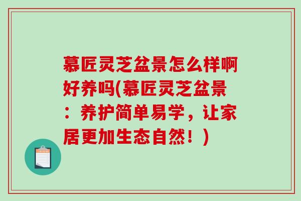 慕匠灵芝盆景怎么样啊好养吗(慕匠灵芝盆景：养护简单易学，让家居更加生态自然！)
