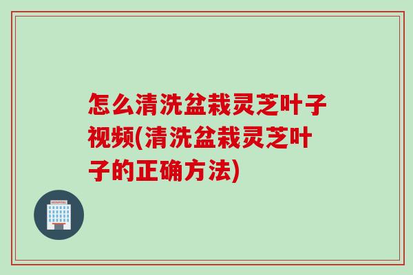 怎么清洗盆栽灵芝叶子视频(清洗盆栽灵芝叶子的正确方法)