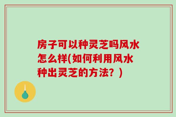 房子可以种灵芝吗风水怎么样(如何利用风水种出灵芝的方法？)