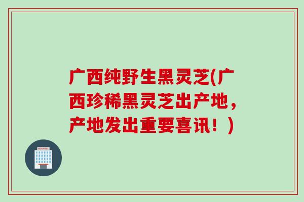 广西纯野生黑灵芝(广西珍稀黑灵芝出产地，产地发出重要喜讯！)
