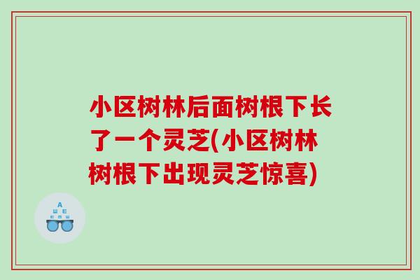 小区树林后面树根下长了一个灵芝(小区树林树根下出现灵芝惊喜)