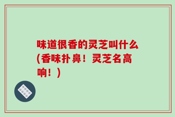 味道很香的灵芝叫什么(香味扑鼻！灵芝名高响！)
