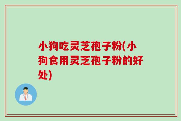 小狗吃灵芝孢子粉(小狗食用灵芝孢子粉的好处)