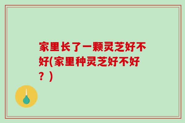家里长了一颗灵芝好不好(家里种灵芝好不好？)