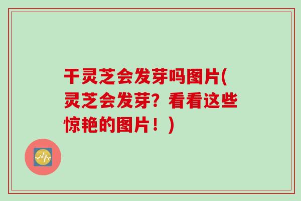 干灵芝会发芽吗图片(灵芝会发芽？看看这些惊艳的图片！)