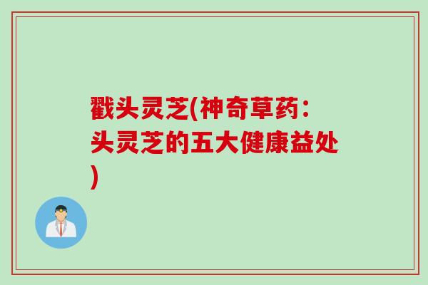 戳头灵芝(神奇草药：头灵芝的五大健康益处)