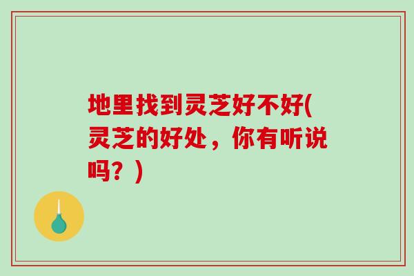 地里找到灵芝好不好(灵芝的好处，你有听说吗？)