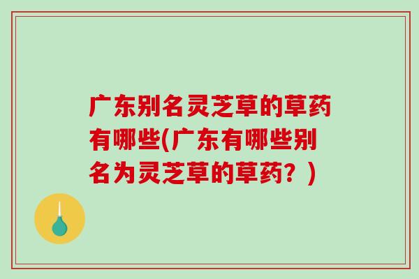 广东别名灵芝草的草药有哪些(广东有哪些别名为灵芝草的草药？)