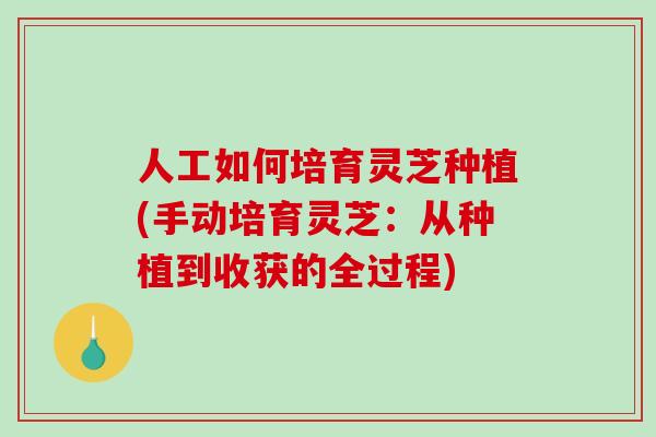 人工如何培育灵芝种植(手动培育灵芝：从种植到收获的全过程)